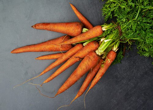 Vegan Kits