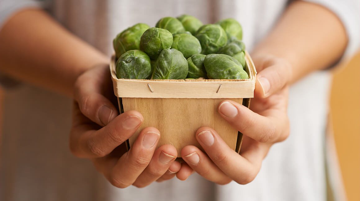 Vegan Kits