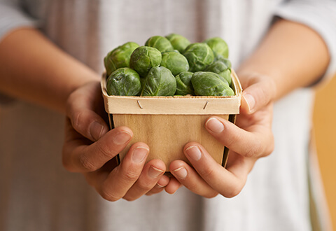 Vegan Kits